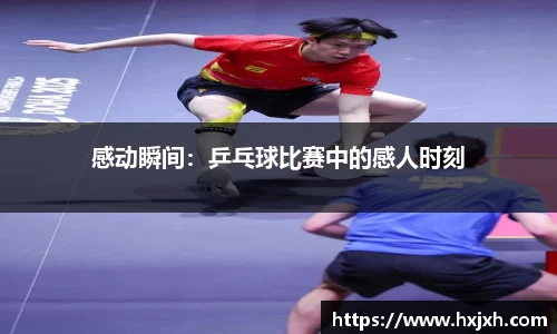 365WM完美体育官网
